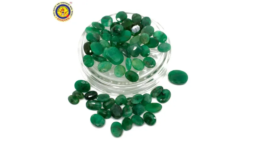 Experience fresh sushi and vibrant flavors of Asia